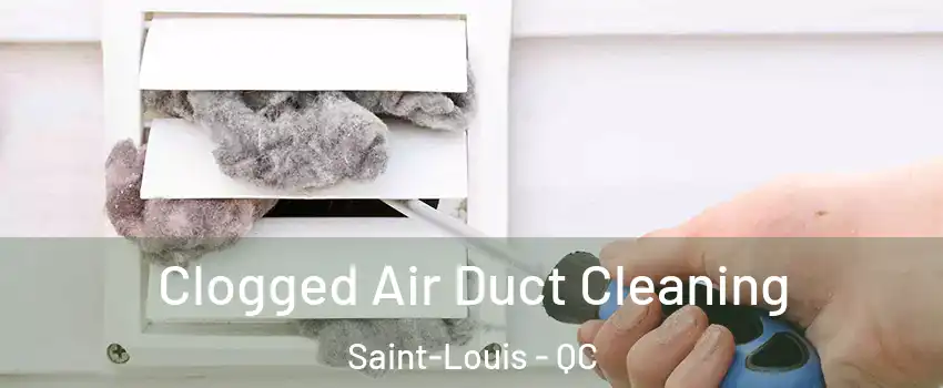 Clogged Air Duct Cleaning Saint-Louis - QC