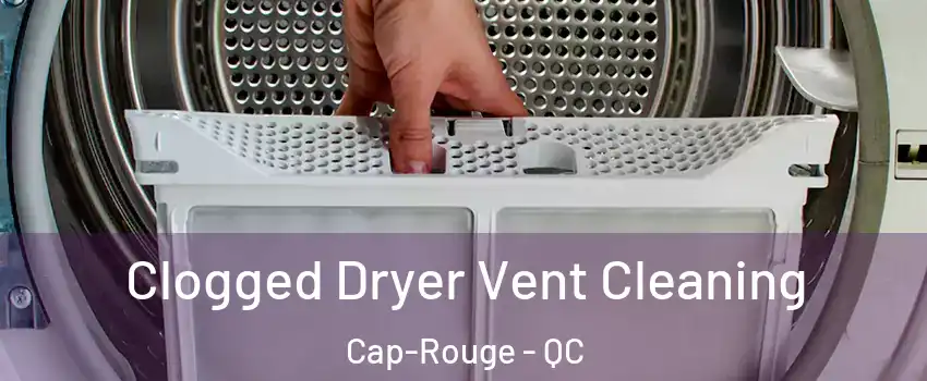  Clogged Dryer Vent Cleaning Cap-Rouge - QC
