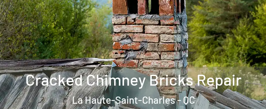  Cracked Chimney Bricks Repair La Haute-Saint-Charles - QC
