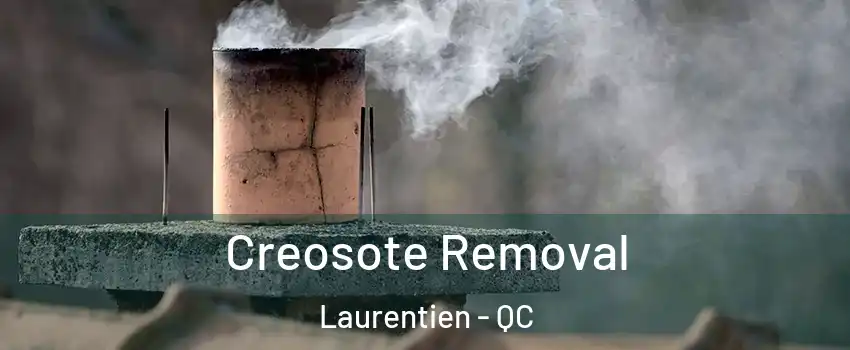  Creosote Removal Laurentien - QC