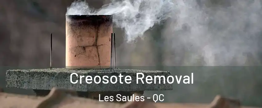  Creosote Removal Les Saules - QC