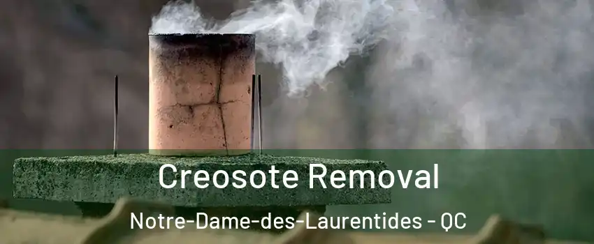 Creosote Removal Notre-Dame-des-Laurentides - QC