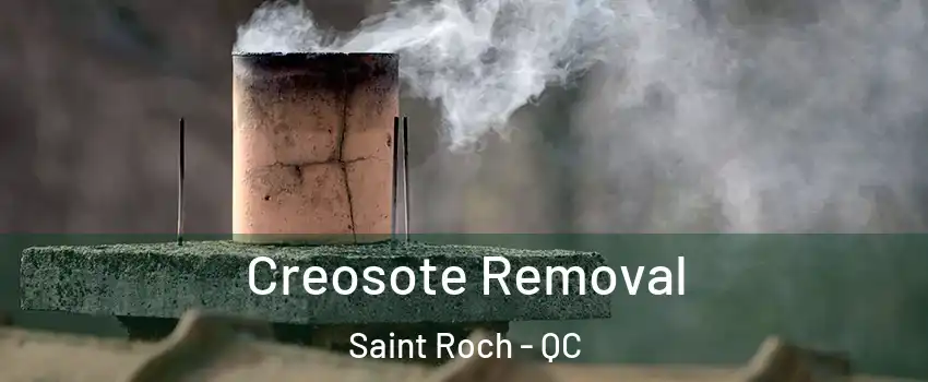  Creosote Removal Saint Roch - QC