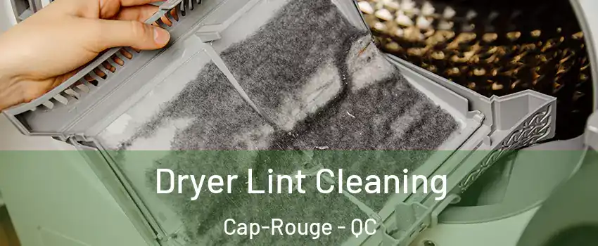  Dryer Lint Cleaning Cap-Rouge - QC