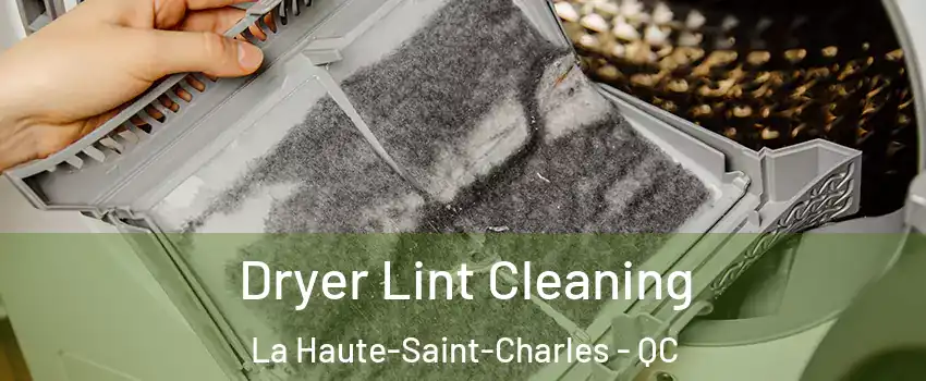  Dryer Lint Cleaning La Haute-Saint-Charles - QC