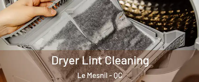  Dryer Lint Cleaning Le Mesnil - QC