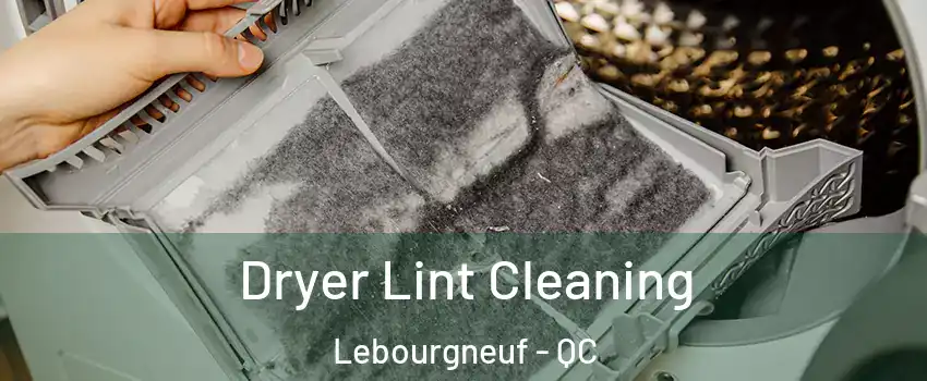  Dryer Lint Cleaning Lebourgneuf - QC