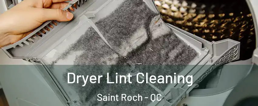  Dryer Lint Cleaning Saint Roch - QC