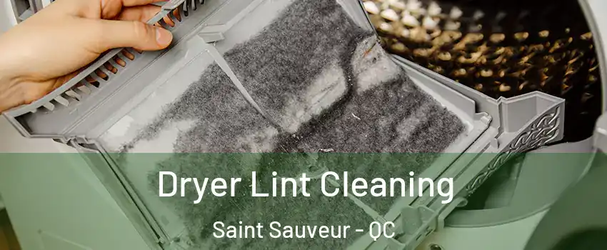  Dryer Lint Cleaning Saint Sauveur - QC