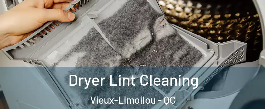 Dryer Lint Cleaning Vieux-Limoilou - QC