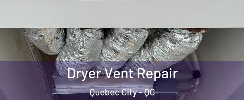 Dryer Vent Repair Quebec City - QC