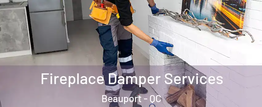  Fireplace Damper Services Beauport - QC