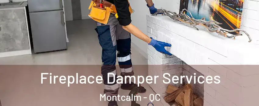  Fireplace Damper Services Montcalm - QC