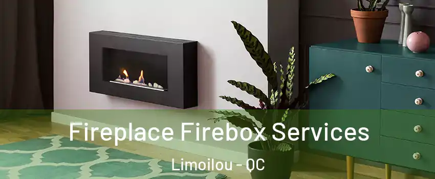  Fireplace Firebox Services Limoilou - QC