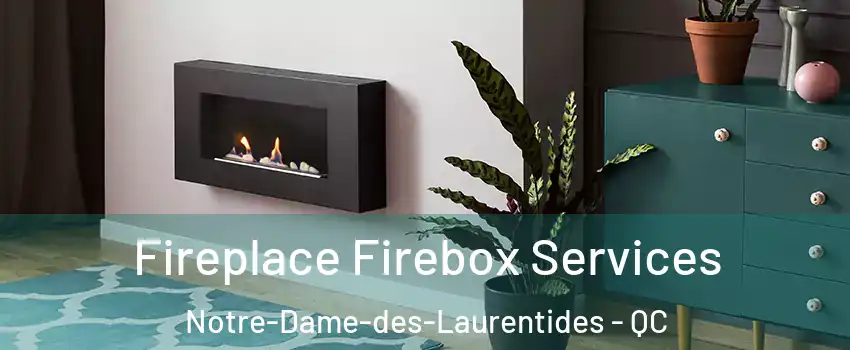 Fireplace Firebox Services Notre-Dame-des-Laurentides - QC