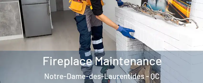  Fireplace Maintenance Notre-Dame-des-Laurentides - QC