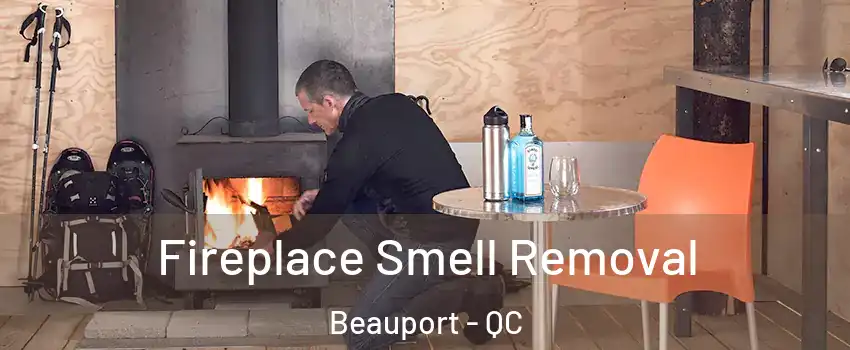  Fireplace Smell Removal Beauport - QC