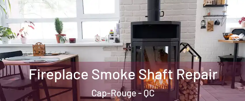 Fireplace Smoke Shaft Repair Cap-Rouge - QC
