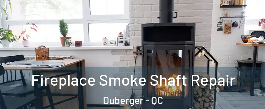  Fireplace Smoke Shaft Repair Duberger - QC