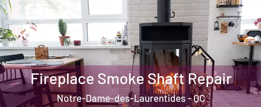  Fireplace Smoke Shaft Repair Notre-Dame-des-Laurentides - QC