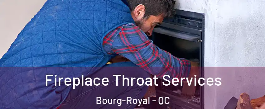 Fireplace Throat Services Bourg-Royal - QC