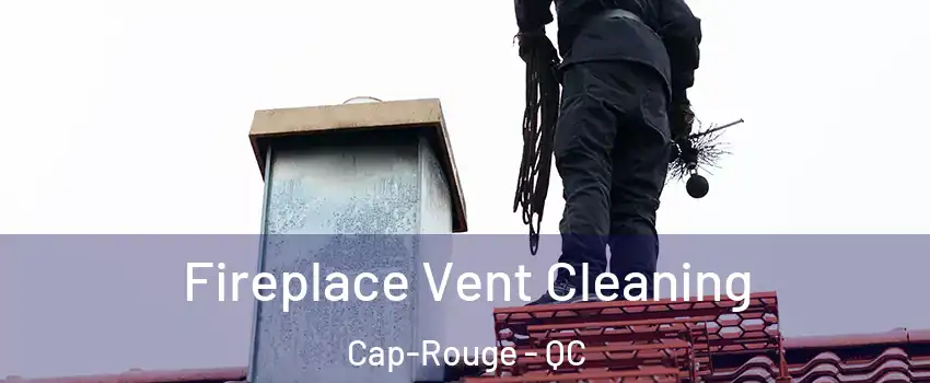  Fireplace Vent Cleaning Cap-Rouge - QC