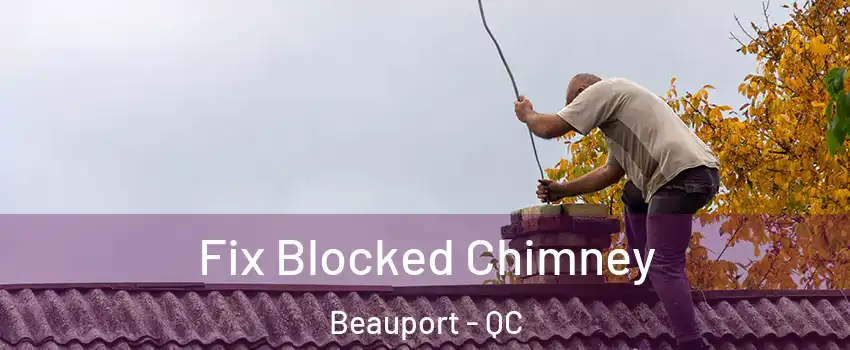  Fix Blocked Chimney Beauport - QC