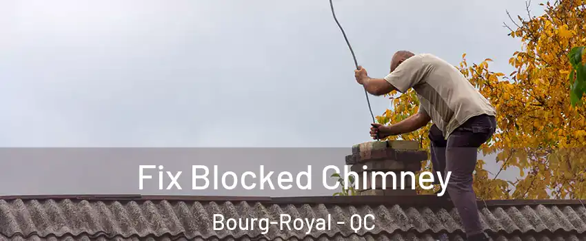  Fix Blocked Chimney Bourg-Royal - QC