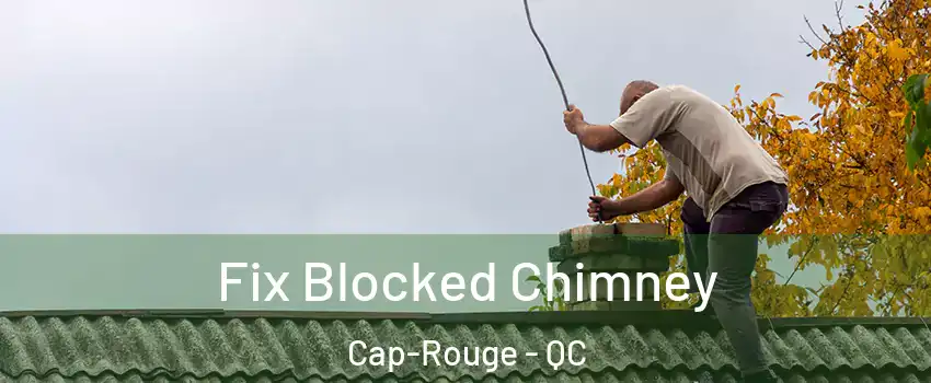 Fix Blocked Chimney Cap-Rouge - QC