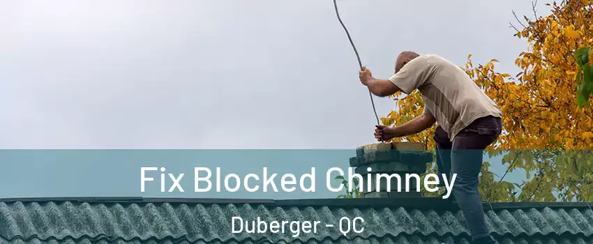 Fix Blocked Chimney Duberger - QC