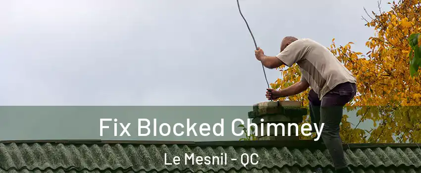  Fix Blocked Chimney Le Mesnil - QC