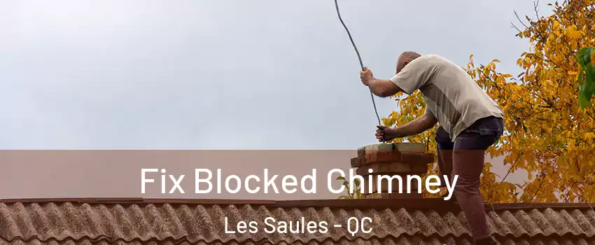  Fix Blocked Chimney Les Saules - QC