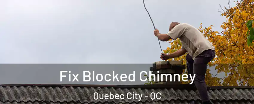  Fix Blocked Chimney Quebec City - QC