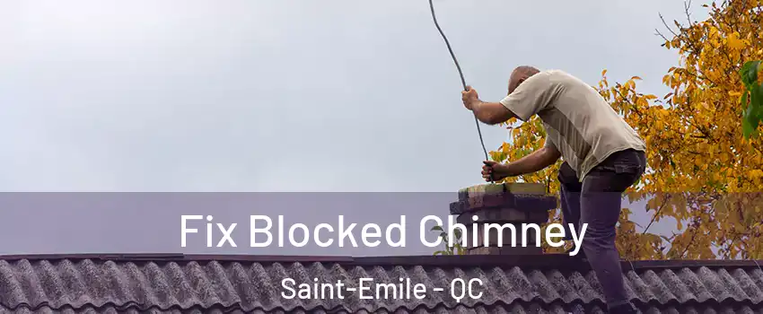  Fix Blocked Chimney Saint-Emile - QC