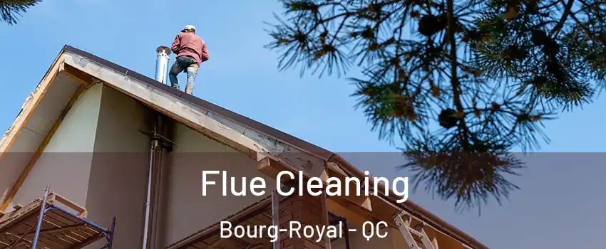  Flue Cleaning Bourg-Royal - QC