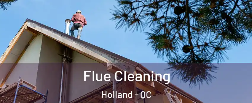  Flue Cleaning Holland - QC