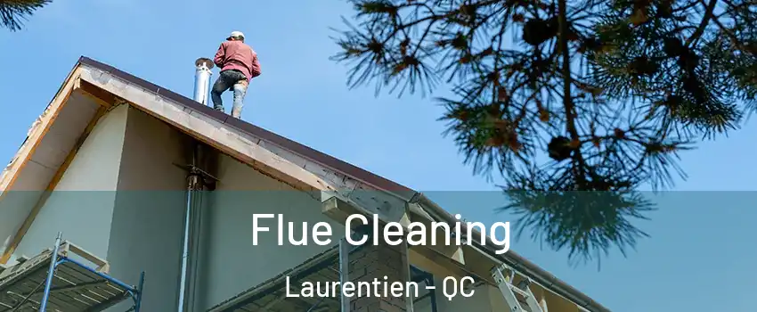 Flue Cleaning Laurentien - QC