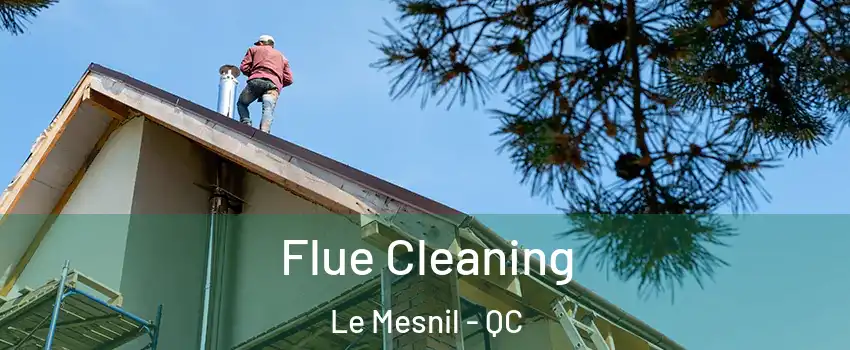 Flue Cleaning Le Mesnil - QC