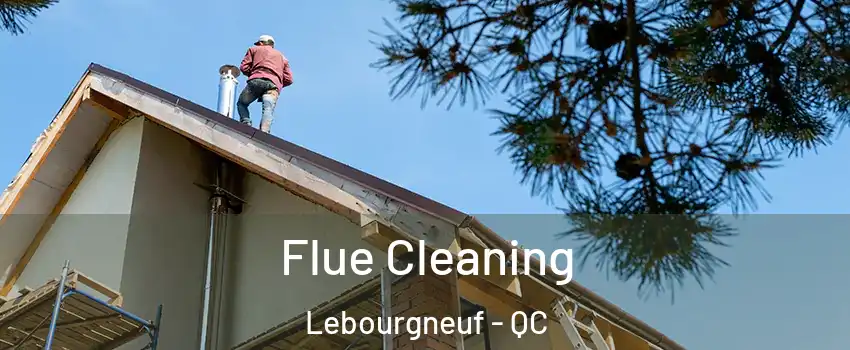  Flue Cleaning Lebourgneuf - QC
