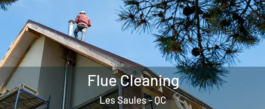  Flue Cleaning Les Saules - QC