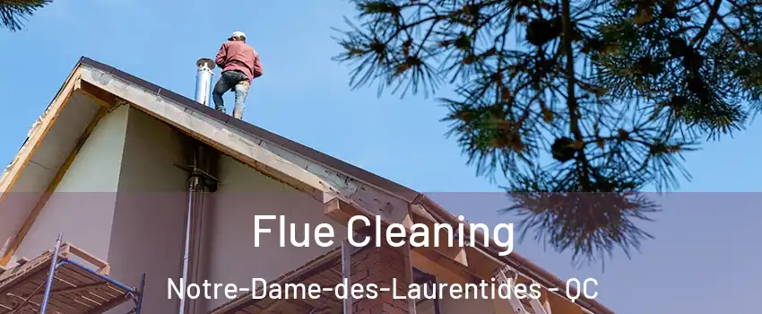 Flue Cleaning Notre-Dame-des-Laurentides - QC