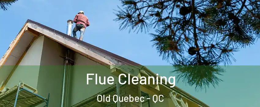 Flue Cleaning Old Quebec - QC