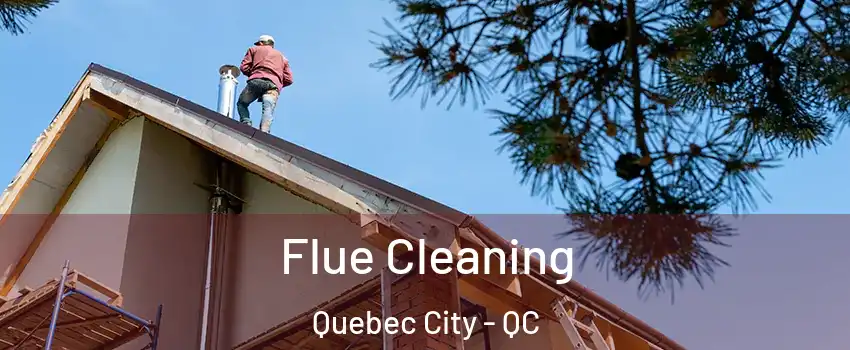  Flue Cleaning Quebec City - QC