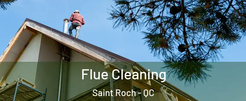 Flue Cleaning Saint Roch - QC