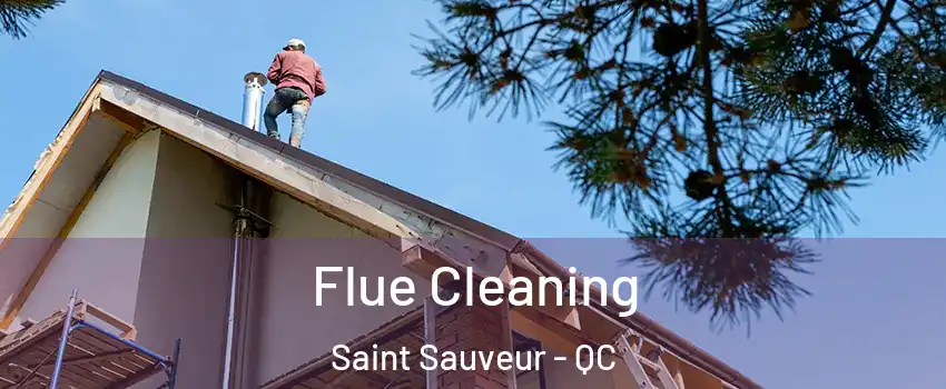  Flue Cleaning Saint Sauveur - QC