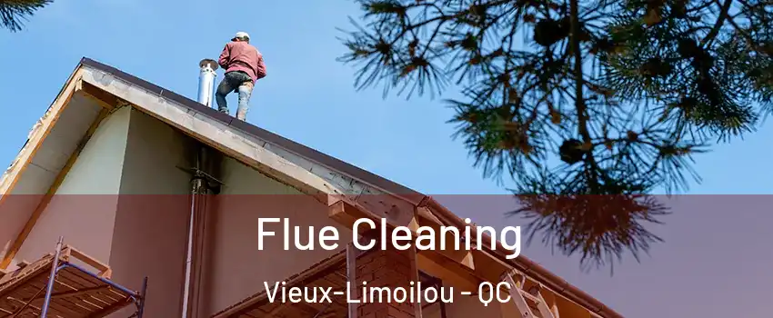  Flue Cleaning Vieux-Limoilou - QC