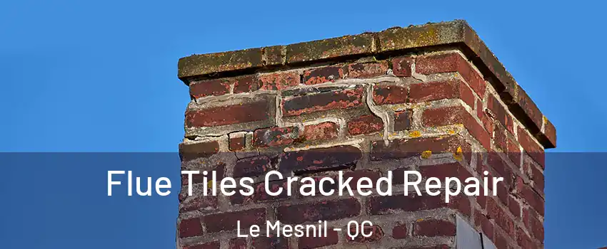  Flue Tiles Cracked Repair Le Mesnil - QC