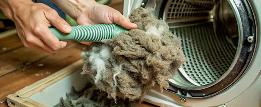 Best Dryer Lint Removal Company in Quebec City, Quebec