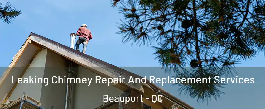  Leaking Chimney Repair And Replacement Services Beauport - QC