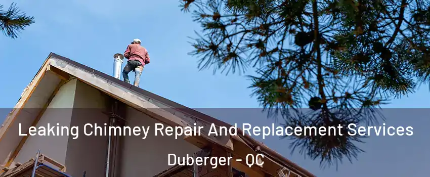  Leaking Chimney Repair And Replacement Services Duberger - QC